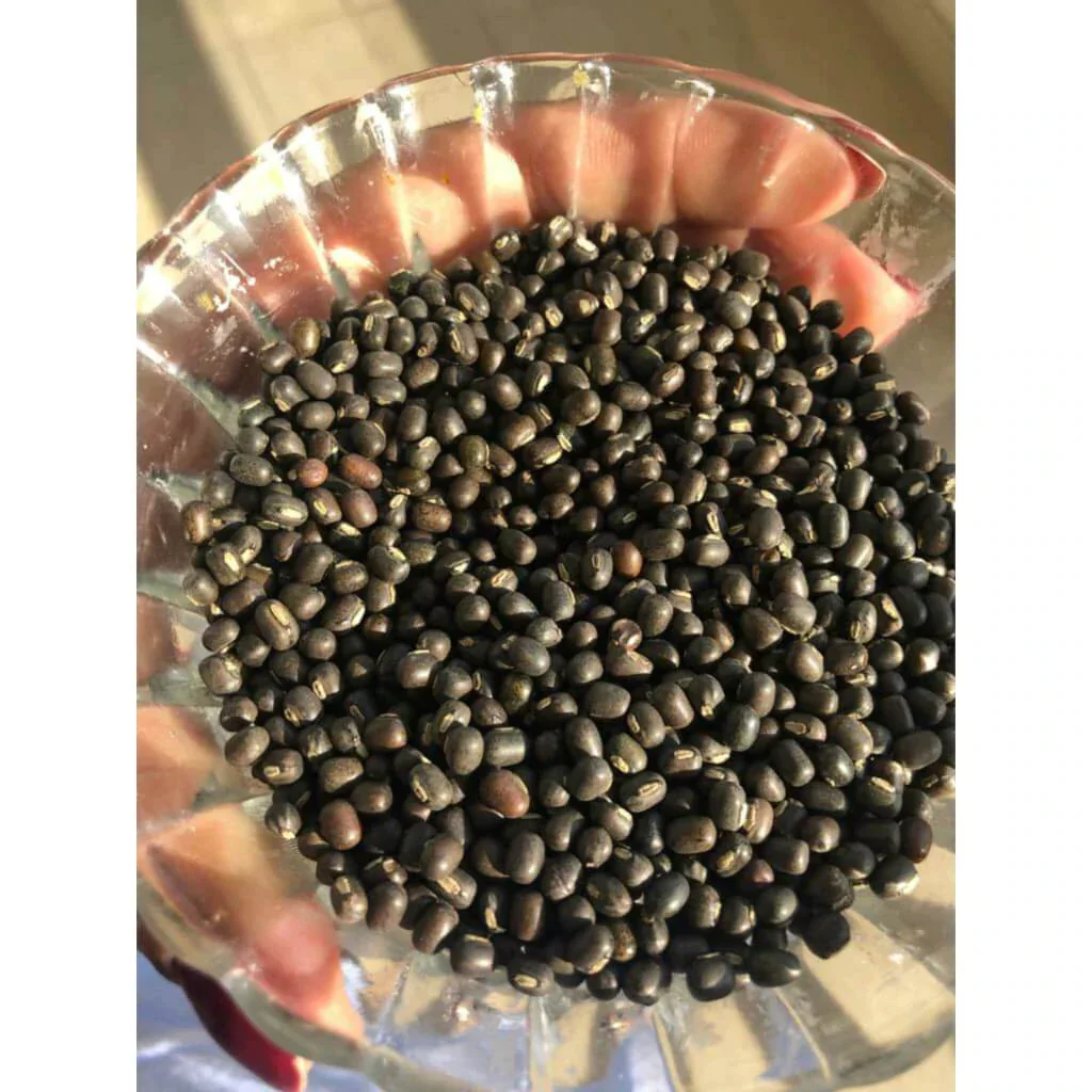 Balaayah Black Gram Booster - Image 10