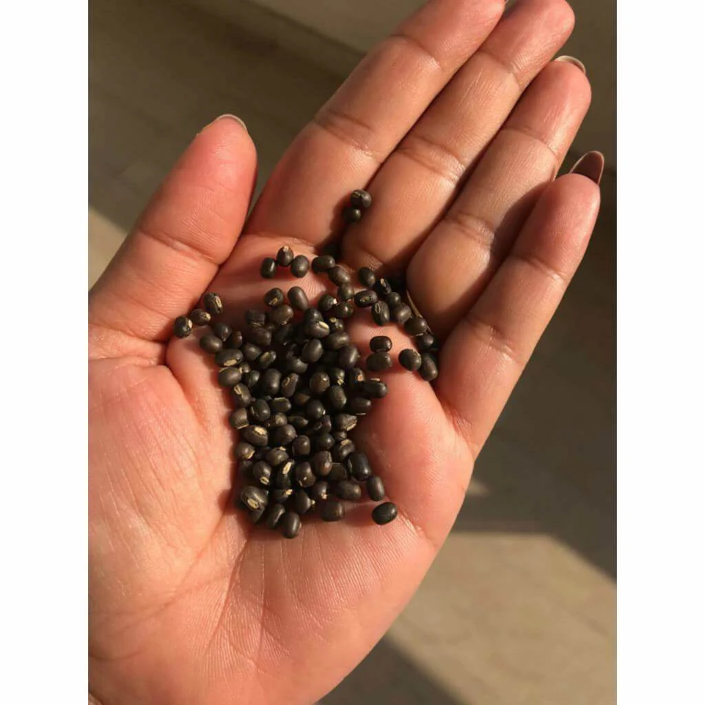 Balaayah Black Gram Booster - Pack of 5 - Image 8